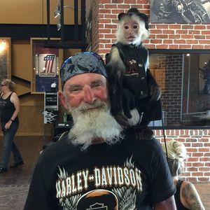 Meet your Posher, Doug